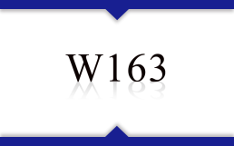 W163